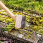someone removing moss from a patio using a stiff brush