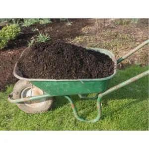a wheelbarrow full of soil, sat on a lawn, next to a garden border