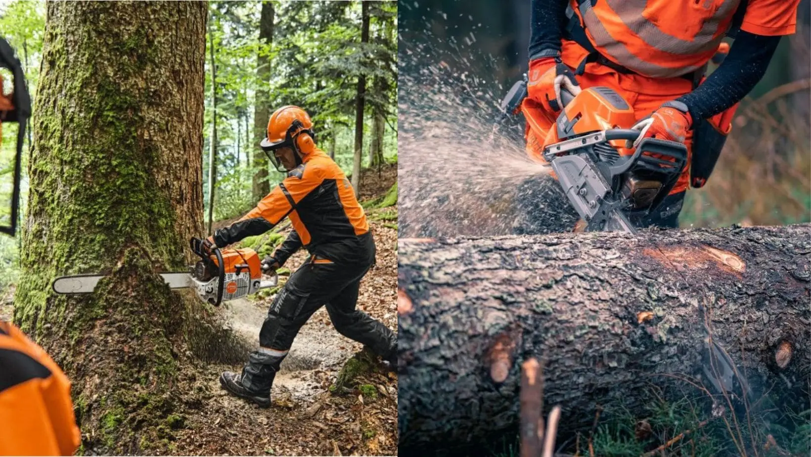 to the left is a man in full chainsaw PPE using the STIHL MS 881 Petrol Chainsaw to fell a tree, and to the right is someone dressed in chainsaw PPE using the Husqvarna 592 XP Petrol Chainsaw to cut a fallen tree trunk