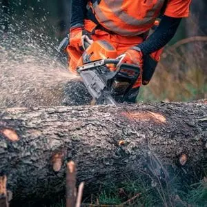 someone wearing orange chainsaw PPE, using a Husqvarna chainsaw to cut a large log