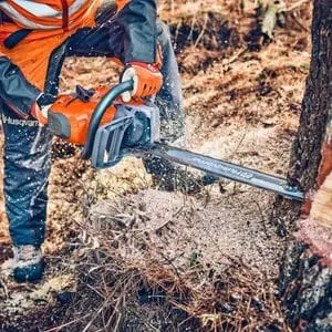 someone using a Husqvarna chainsaw with full chisel chain to fell a hardwood tree