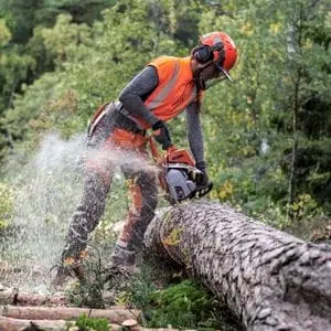 a man dressed in full chainsaw PPE, using a Husqvarna chainsaw to cut a large log