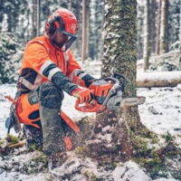 a man wearing full chainsaw PPE, in snowy conditions, using a small Husqvarna chainsaw with semi chisel chain to prune a tree