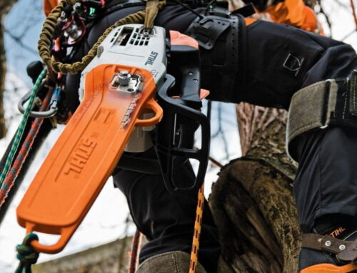 Rear Handle vs Top Handle Chainsaws: Differences and Usage