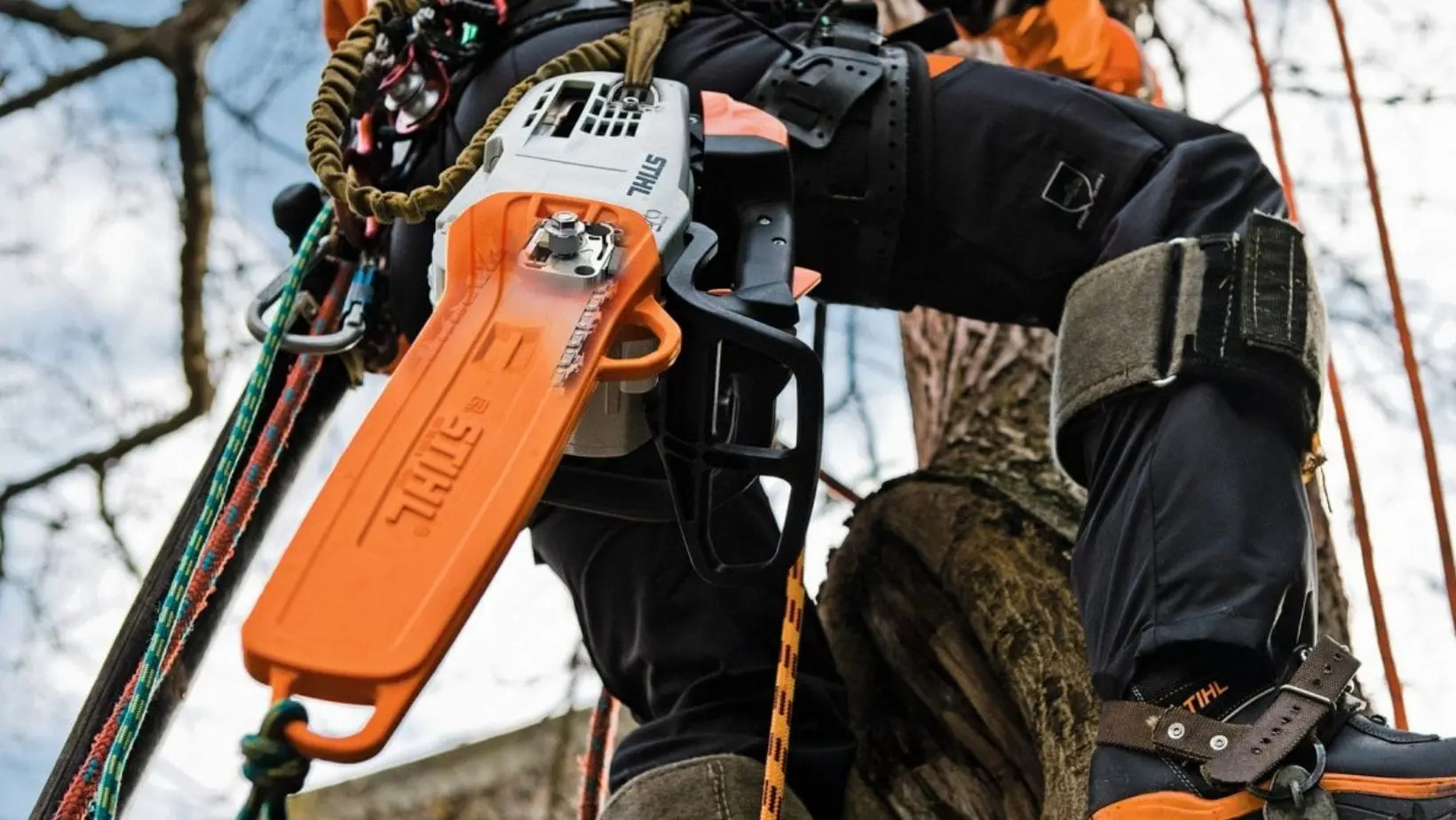 an arborist climbing a tree, with the STIHL MS 201 T Petrol Chainsaw in a case hanging from their back