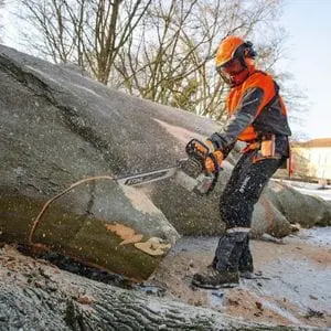 a man wearing full chainsaw PPE, using the STIHL MS 661 Petrol Chainsaw to cut a branch off a huge fallen tree trunk