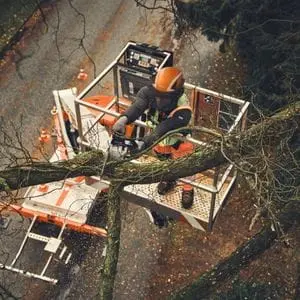 a man wearing chainsaw PPE, stood in an elevated platform, using the STIHL MSA 190 T Cordless Chainsaw to prune a high tree branch