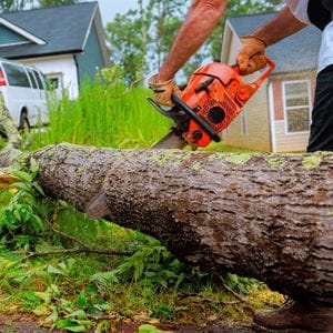 a man wearing safety gloves, using an orange chainsaw to cut a tree that has fallen in the front gardens of 2 houses