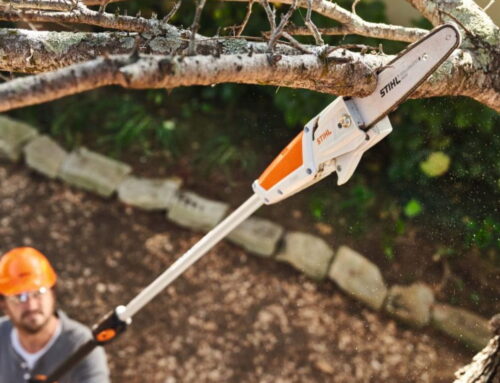 Essential STIHL Tools for Winter Garden Maintenance