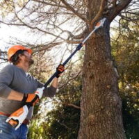 a man wearing an orange hard hat, using the STIHL HTA 50 Cordless Pole Pruner to prune a tree from ground level