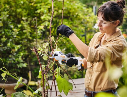 Small Tools to Make a Big Impact This Mother’s Day
