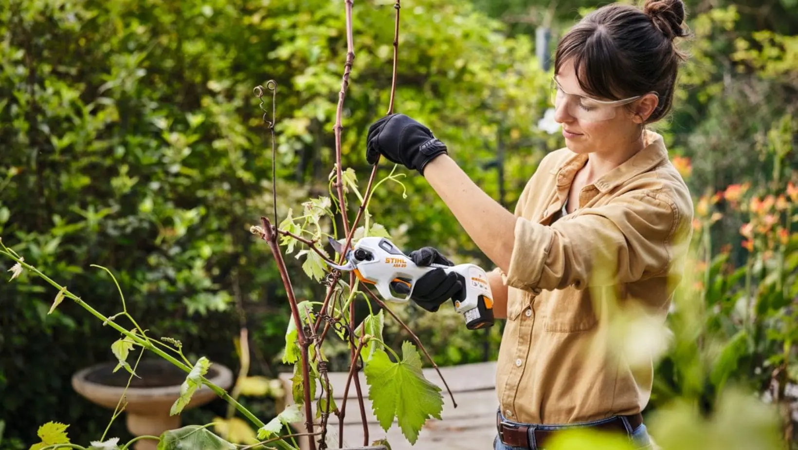 STIHL ASA 20 2 (1) a woman wearing protective glasses, using the STIHL ASA 20 Cordless Secateurs to prune a small tree