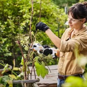 a woman wearing safety glasses, using STIHL ASA 20 Cordless Secateurs to prune a woody plant