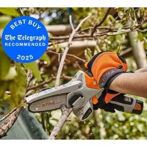 someone using the STIHL GTA 26 Cordless Pruner to cut a small branch off a tree, with a blue, circular sign in the top left of the image noting this product is a Telegraph 'Best Buy' for 2025