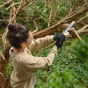a woman wearing gloves and safety glasses, using the STIHL GTA 30 Cordless Pruning Saw to prune a dormant tree
