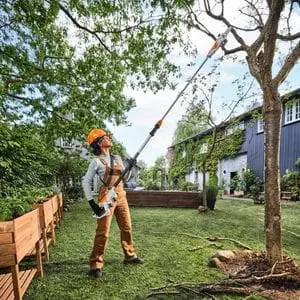 a woman wearing dungarees and an orange hardhat, stood at ground level, using the STIHL HTA 30 Cordless Pruner to prune a tall tree