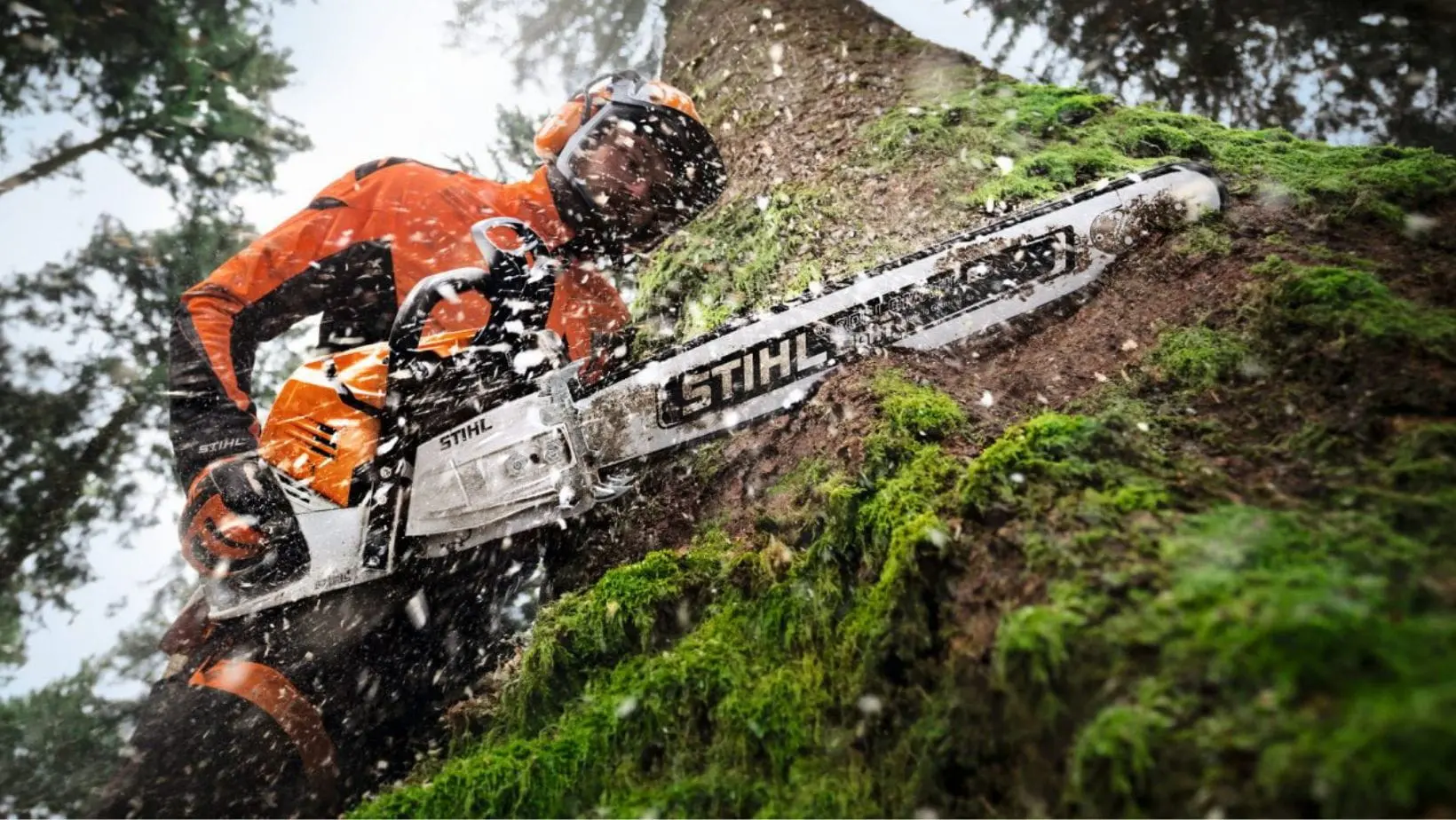a man wearing STIHL-branded chainsaw PPE, using the STIHL MS 500i Petrol Chainsaw to fell a tree