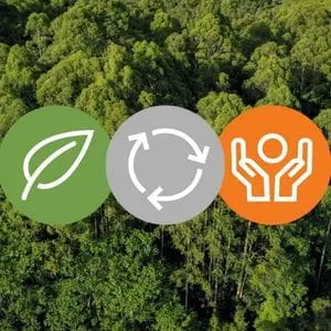 3 circular symbols representing nature, sustainability and environmental responsibility, overlaying a picture of a forest