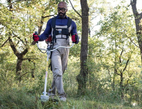 Should I Use a Trimmer, Brushcutter, or Clearing Saw?