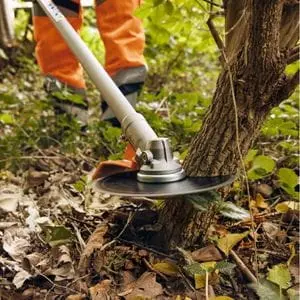 a close up of the STIHL FS 561 Petrol Clearing Saw cutting down a sapling