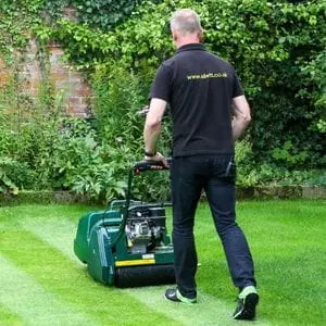 a man using the Allett Kensington 14B Petrol Cylinder Lawn Mower to create neat stripes on a lawn