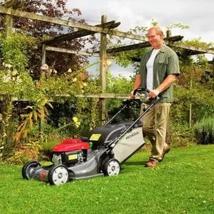 a man mowing a lawn using a Honda HRX 537 VY Petrol Lawn Mower, with a trellis feature, climbing plants, shrubs and trees in the background
