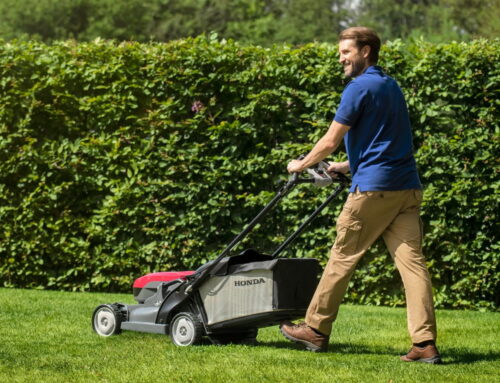 Should I Choose a Honda IZY or Honda HRX Petrol Lawnmower?
