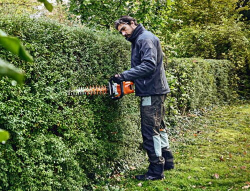 Which STIHL Hedge Trimmer Is Right for My Garden?