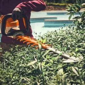 a close up of someone using the STIHL HSA 140 Cordless Hedge Trimmer to trim the top of a hedge, next to a swimming pool