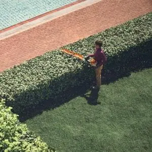 an overhead shot of a man using the STIHL HSA 150 Cordless Hedge Trimmer to trim the top of a hedge, next to an outdoor swimming pool