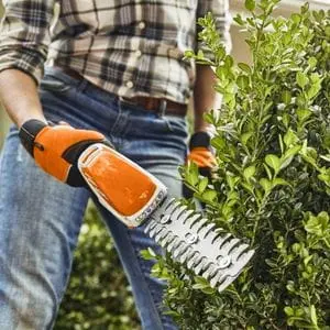 someone wearing jeans and a checked shirt, shaping a shrub using the STIHL HSA 26 Cordless Hedge Trimmer