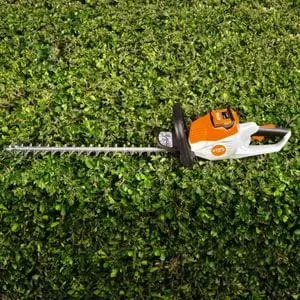 the STIHL HSA 50 Cordless Hedge Trimmer sat on a hedge