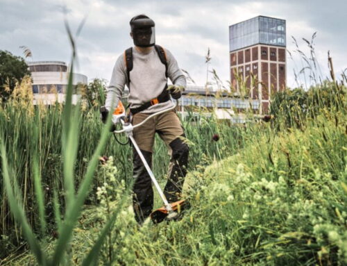 STIHL Petrol vs Battery Brushcutters: Which Is Best for Me?