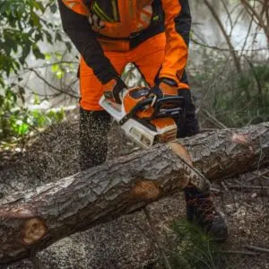 STIHL MSA 260 C-O cordless chainsaw cutting through a large fallen tree trunk during professional forestry work.
