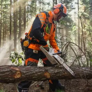 Professional arborist using the STIHL MSA 260 C-O cordless chainsaw to process timber in a woodland.