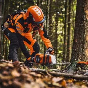 STIHL MSA 260 C-O cordless chainsaw cutting at the base of a tree in a forest environment.