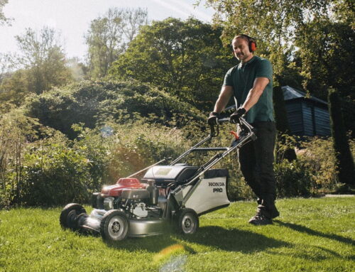 Should You Mow the Lawn During a Heatwave?