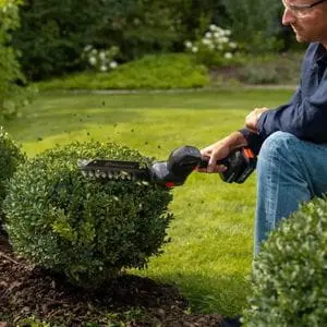 a man knelt on one knee, using the Husqvarna Aspire™ S20-P4A Cordless Shrub Shears to prune a circular shrub