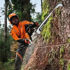 a man dressed in full chainsaw PPE, using the STIHL MS 500i Petrol Chainsaw to make cuts in a large tree