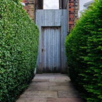 a gate between houses, viewed from the bottom of a hedge-lined path