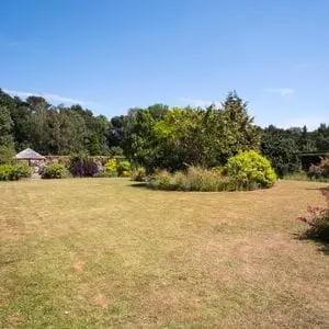 a large, dry lawn, surrounded by trees, during a heatwave