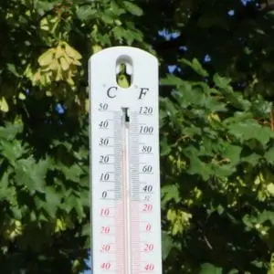 a white thermometer reading nearly 30 degrees centigrade, with a tree in the background