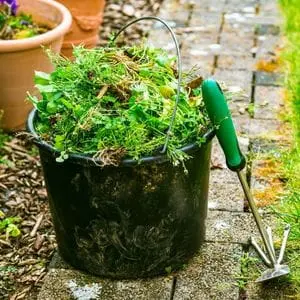 a bucketful of weeds on paving stones, next to a weeder, plant pots and lawn edge