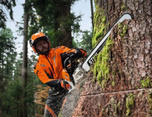 Save More on STIHL This Autumn: Get Cashback and Free AS 2 Batteries