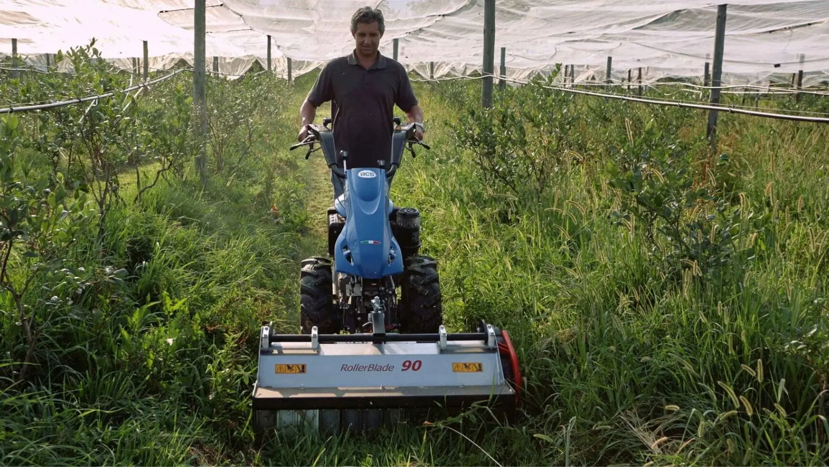 a man using the BCS 750 PowerSafe® 2 Wheel Tractor to cut down overgrown grass in a huge greenhouse