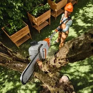 an overhead shot of a woman wearing an orange hard hat, sawing off a tree branch using the STIHL HTA 30 Cordless Pole Pruner