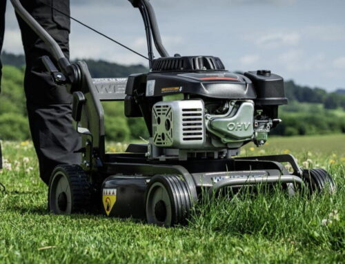 Mulching vs Collecting: Which Is the Best Way to Mow a Lawn?