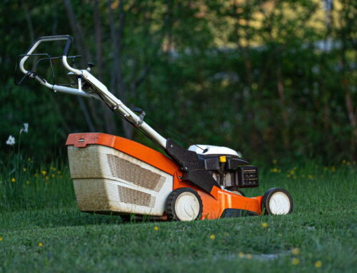 Can You Mow Wet Grass?